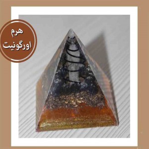 هرم اورگنیت ثروت